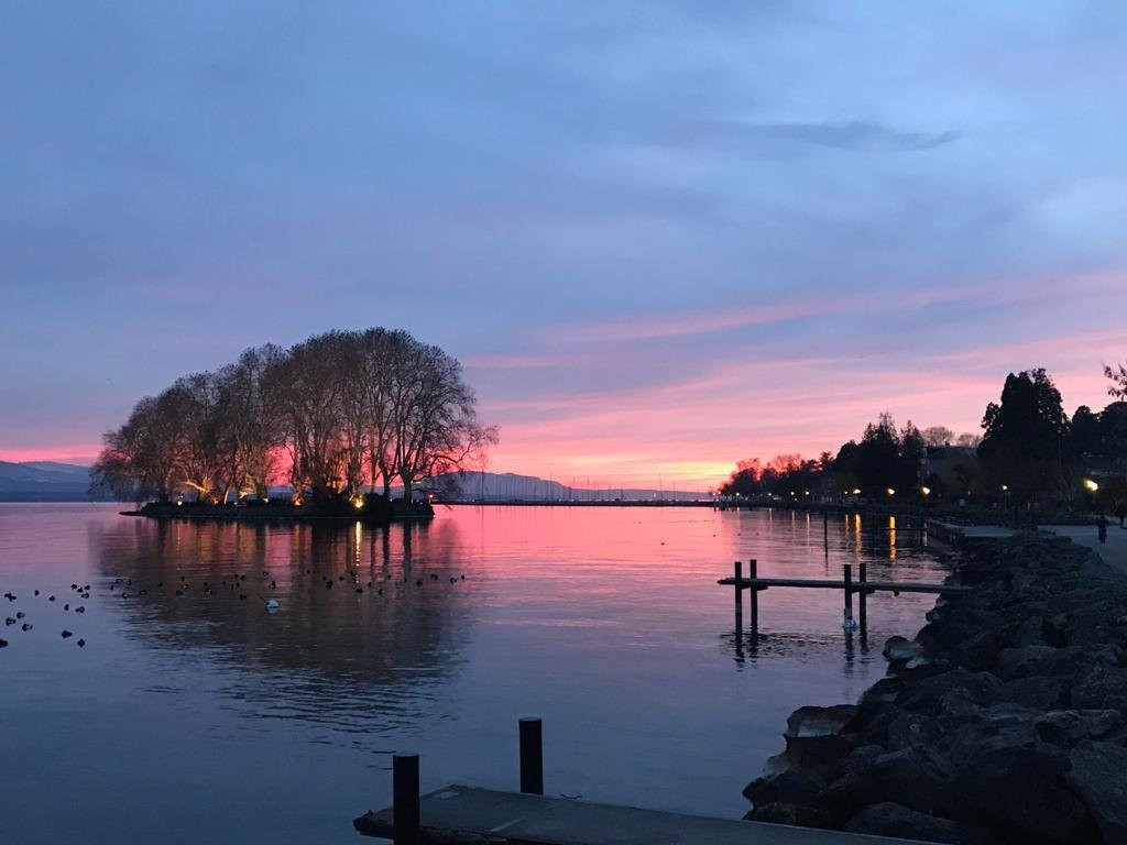 豪斯特里尔城堡酒店主图