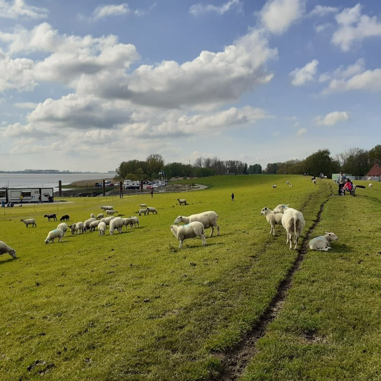Bielenberg旅游攻略图片