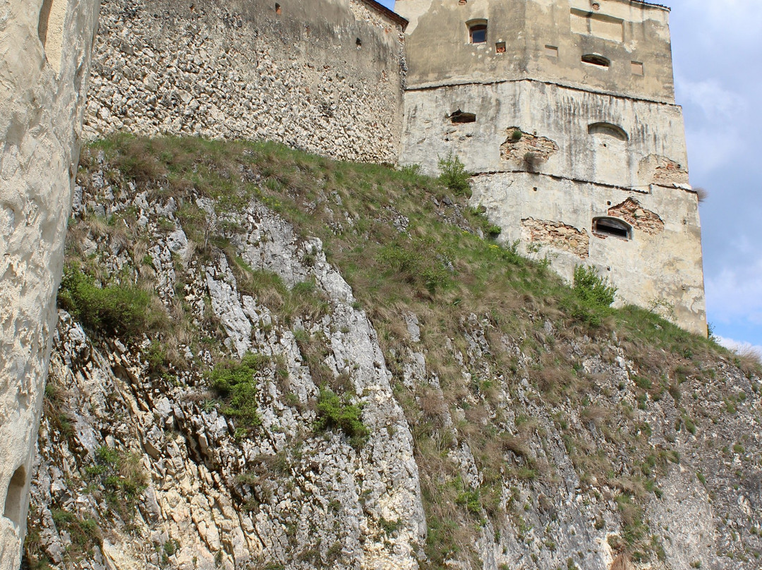 Rasnov Citadel: Garden and Panoramic View景点图片