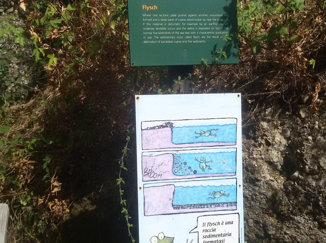 Parco Fluviale dell'Alcantara景点图片