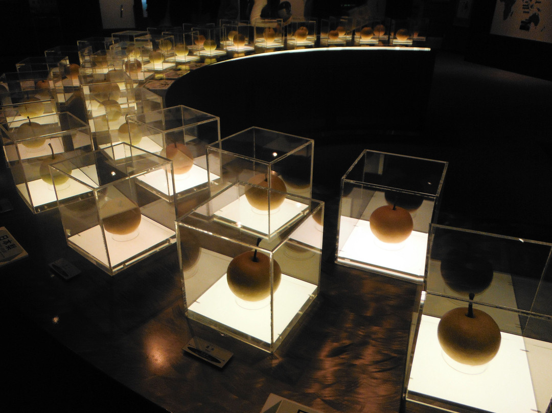 Pear Museum景点图片