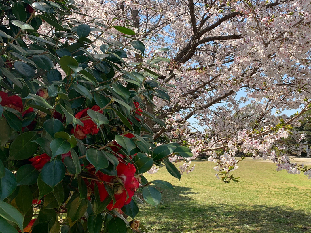 Morishi's Garden-防府市必去景点