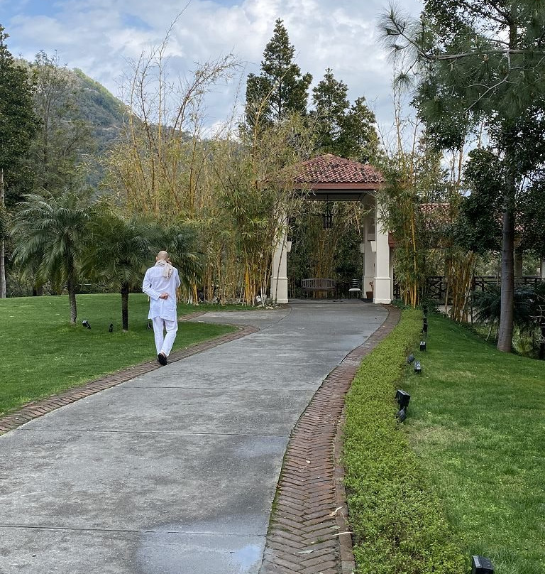 Ananda in the Himalayas主图