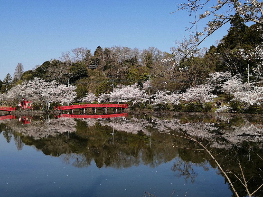 Mobara Park-茂原市必去景点