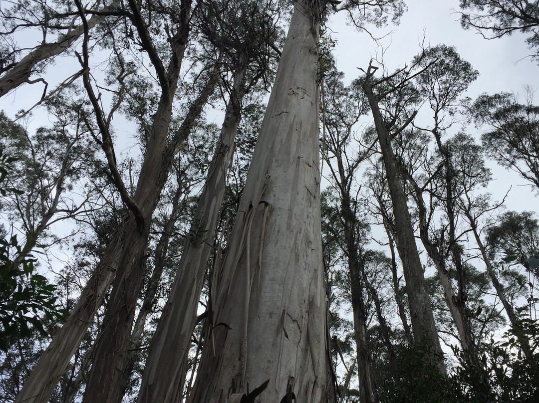 Mushroom Rocks-Erica必去景点