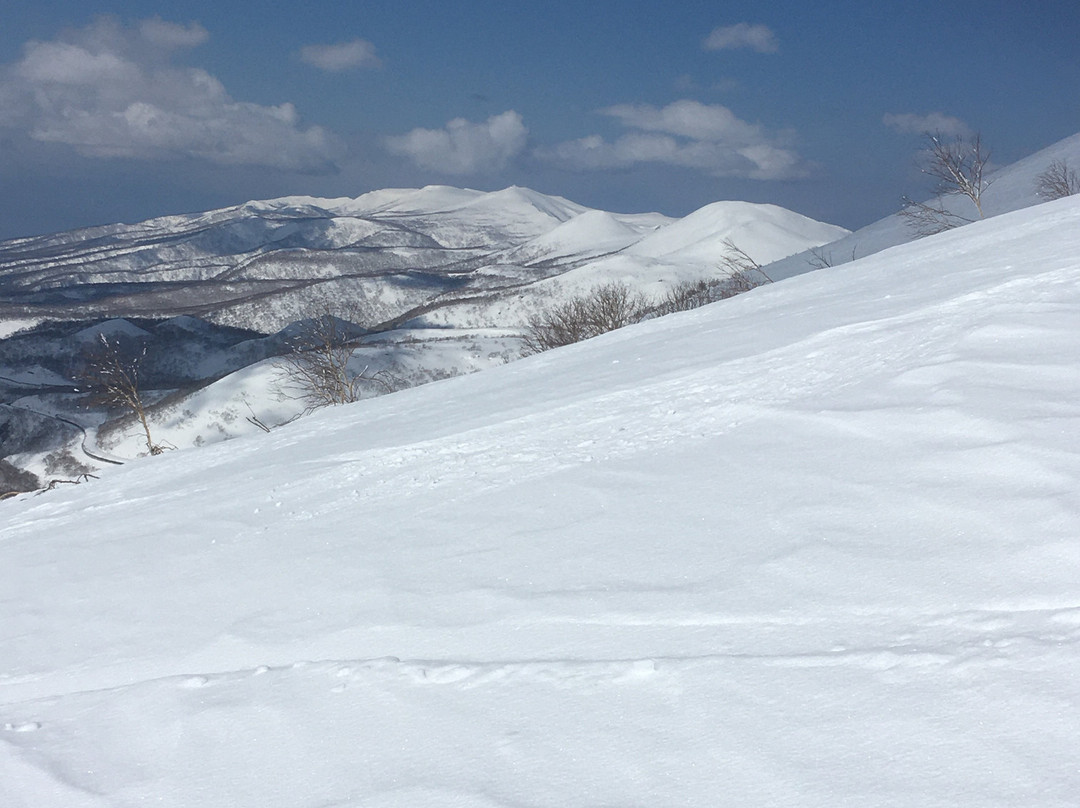 二世古安努普里国际滑雪场景点图片