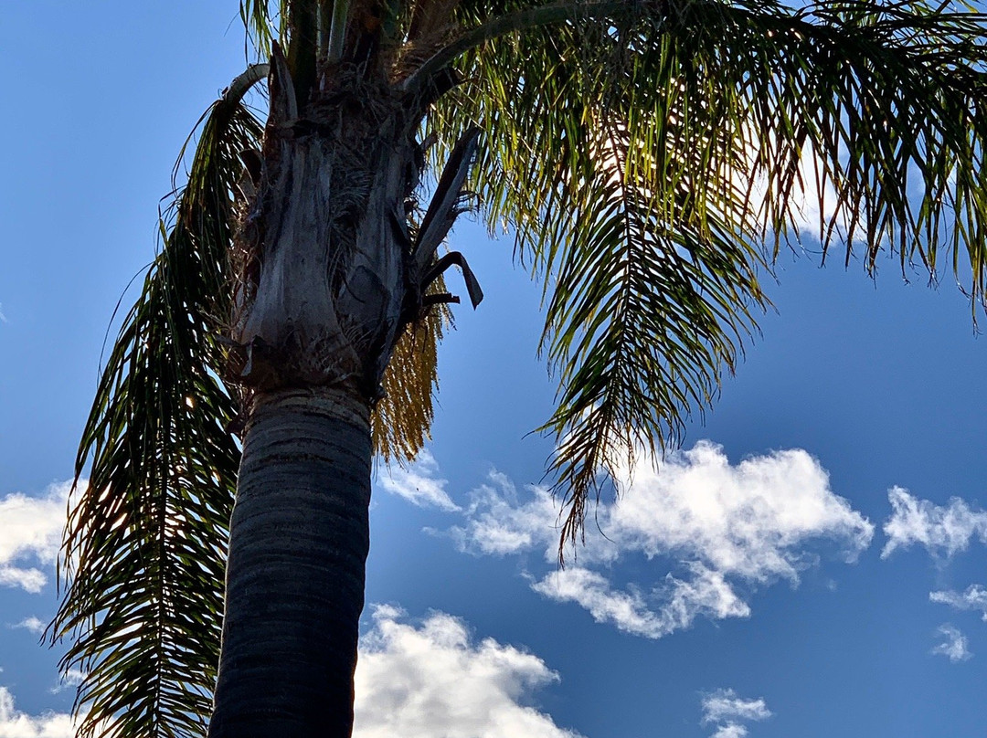 The Oyster Inn主图