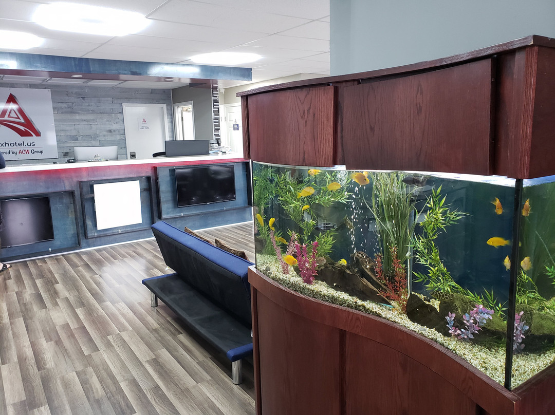 Beechgrove酒店住宿-Lx Hotel, Powered by ACW Circle