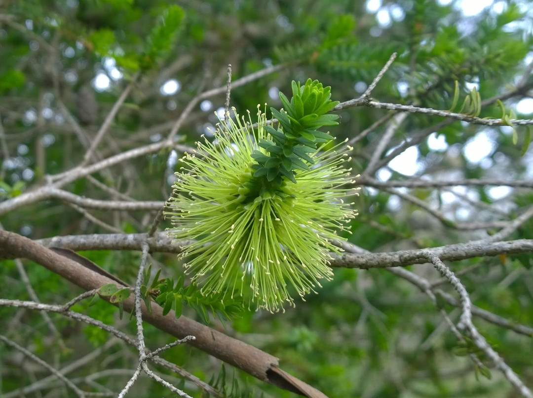 Peter Francis Points Arboretum-Coleraine必去景点