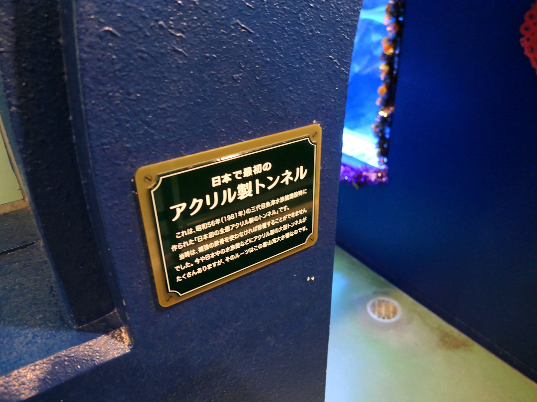 Uozu Aquarium-鱼津市必去景点