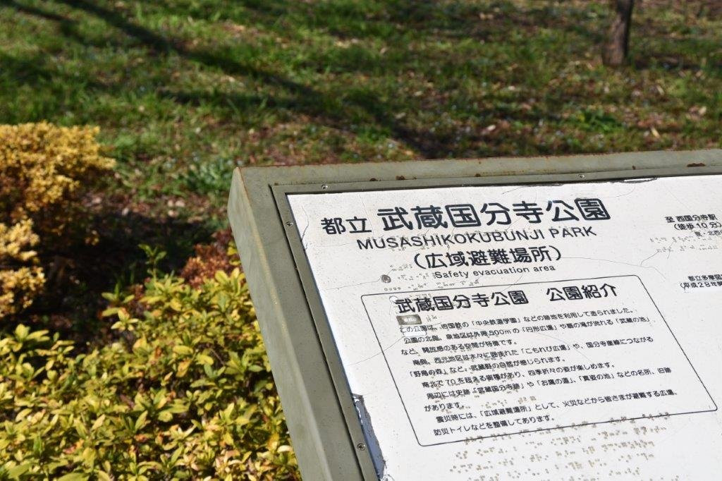 Musashi Kokubunji Park-国分寺市必去景点