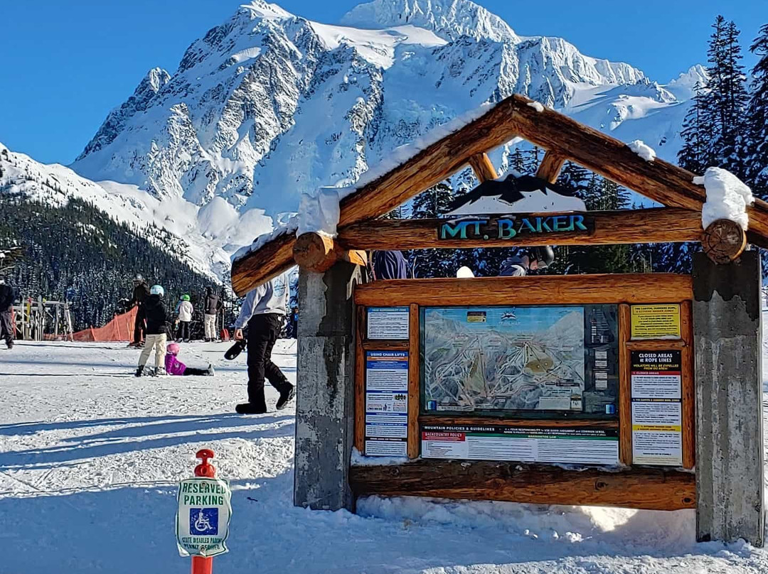 Mt Baker Ski Area景点图片