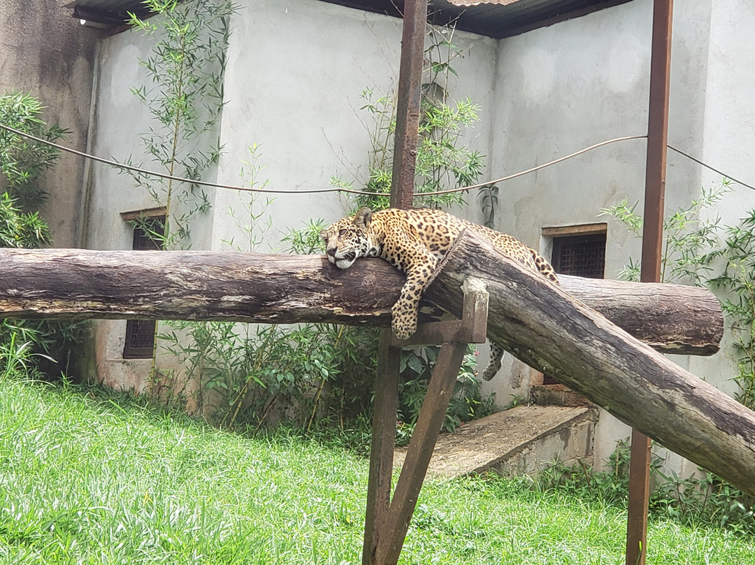 Zoo Park da Montanha景点图片