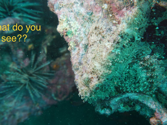 Khao Lak Fun Diver-拉克山必去景点