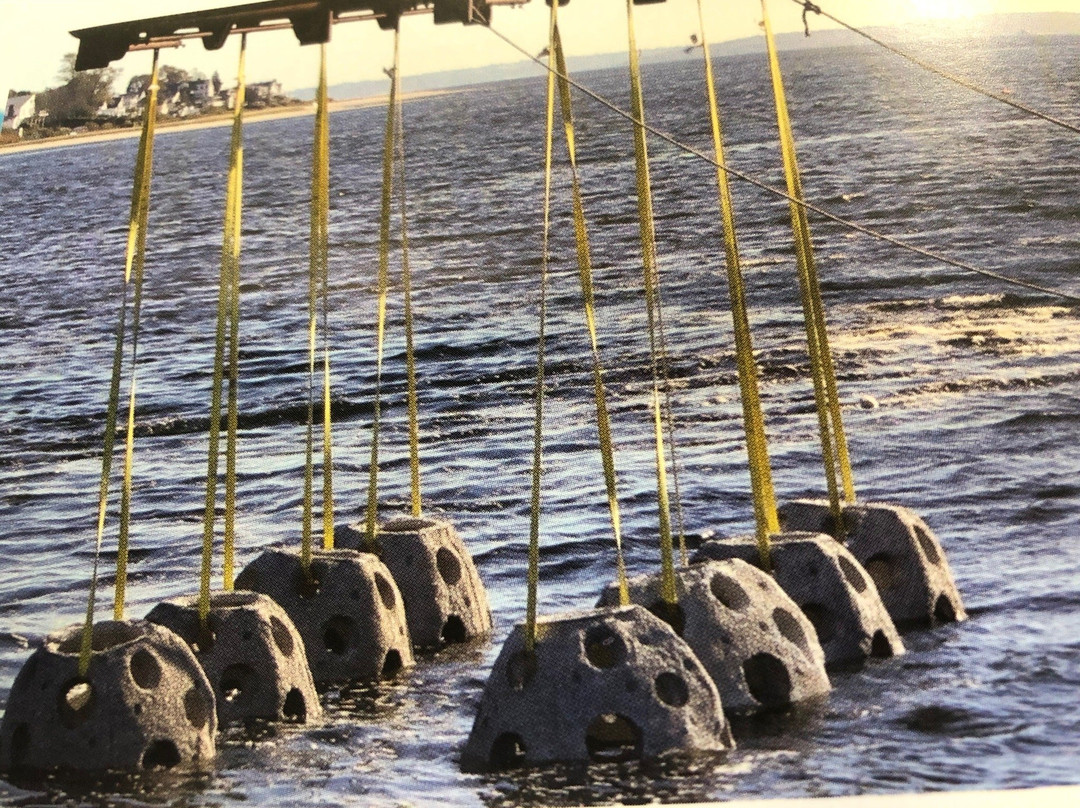 Sabin Point Park-Riverside必去景点