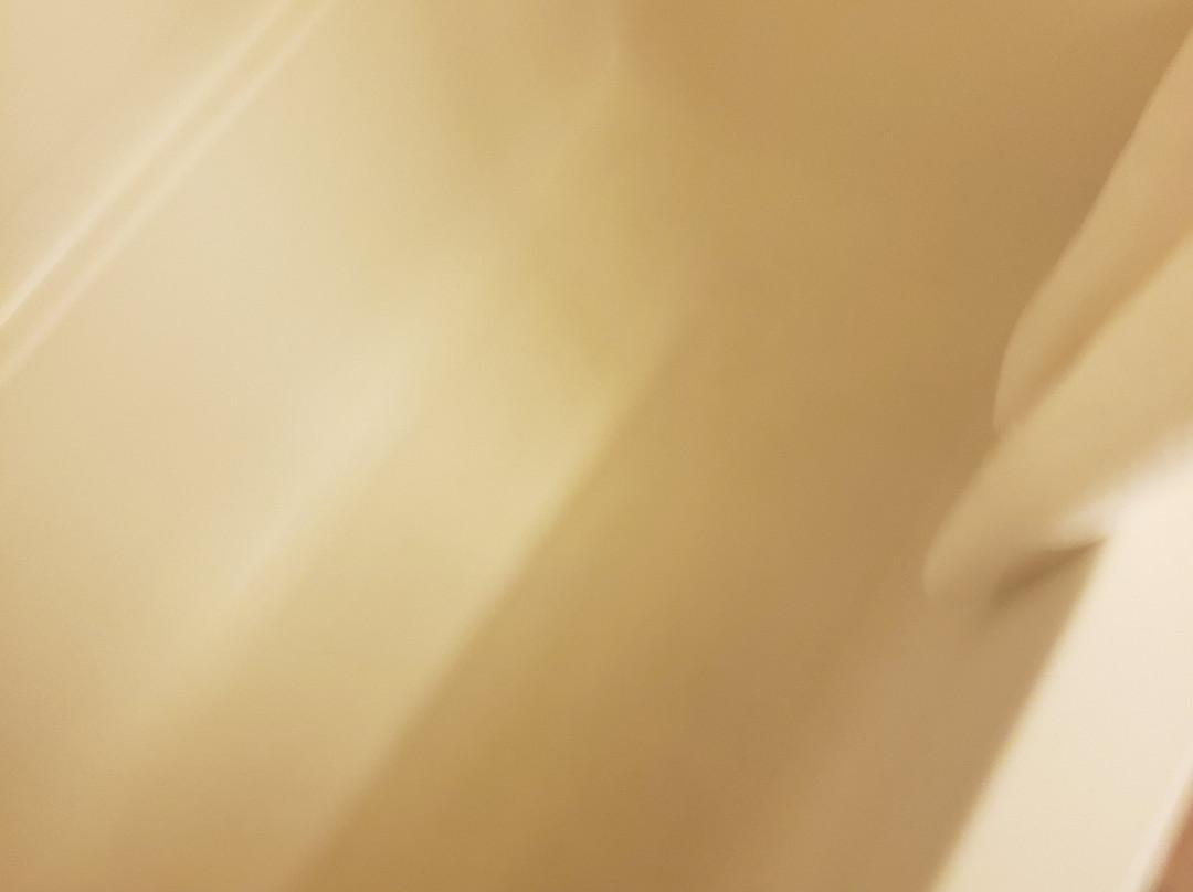 帕迪尤卡奥本套房酒店主图