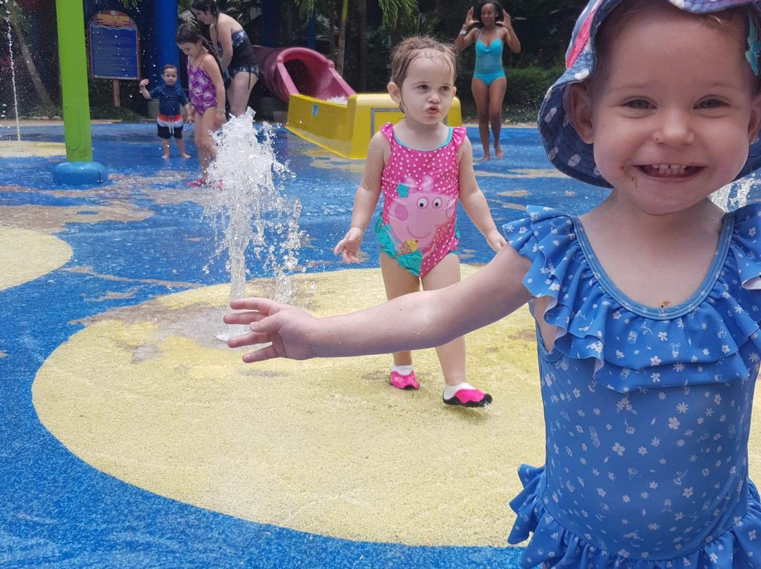 DT's Jamaica Tours and Taxi Service-奥乔里奥斯必去景点