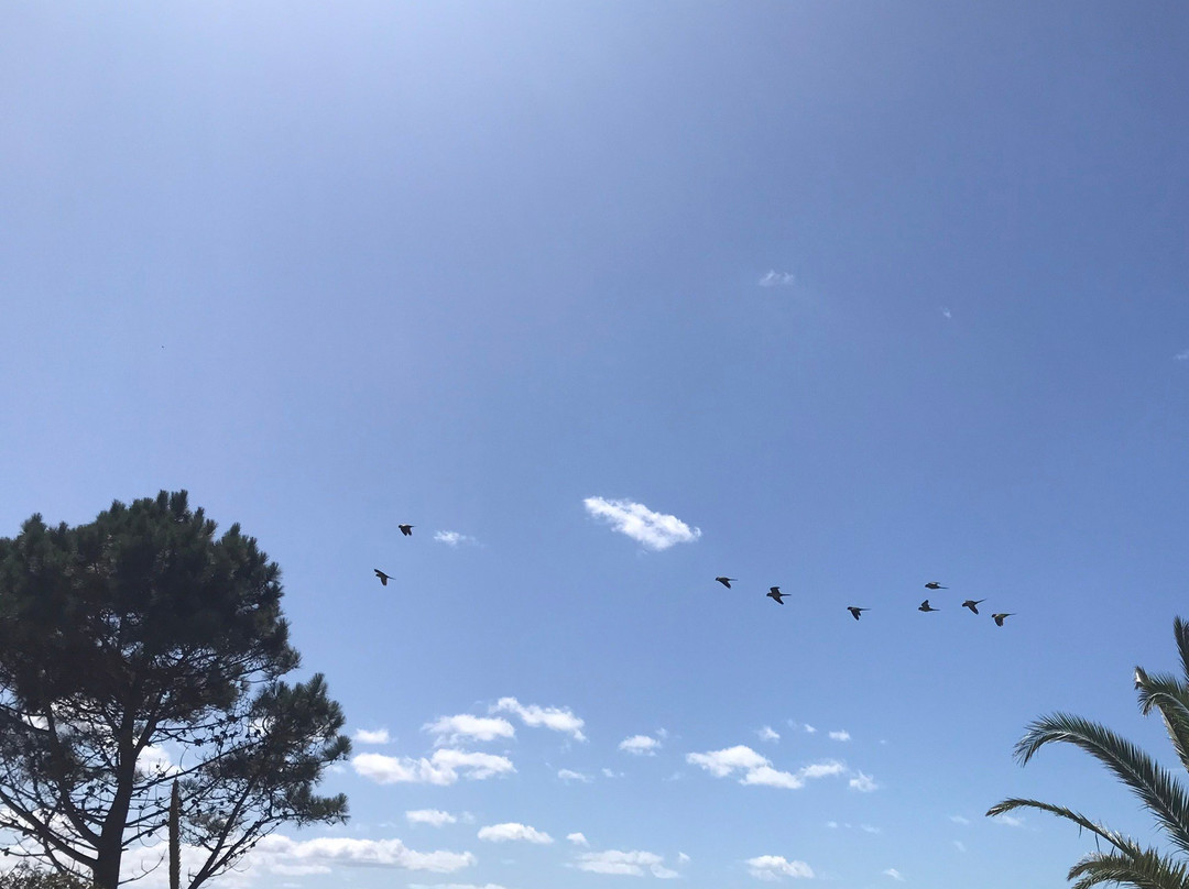 Isla Gorriti-Maldonado必去景点