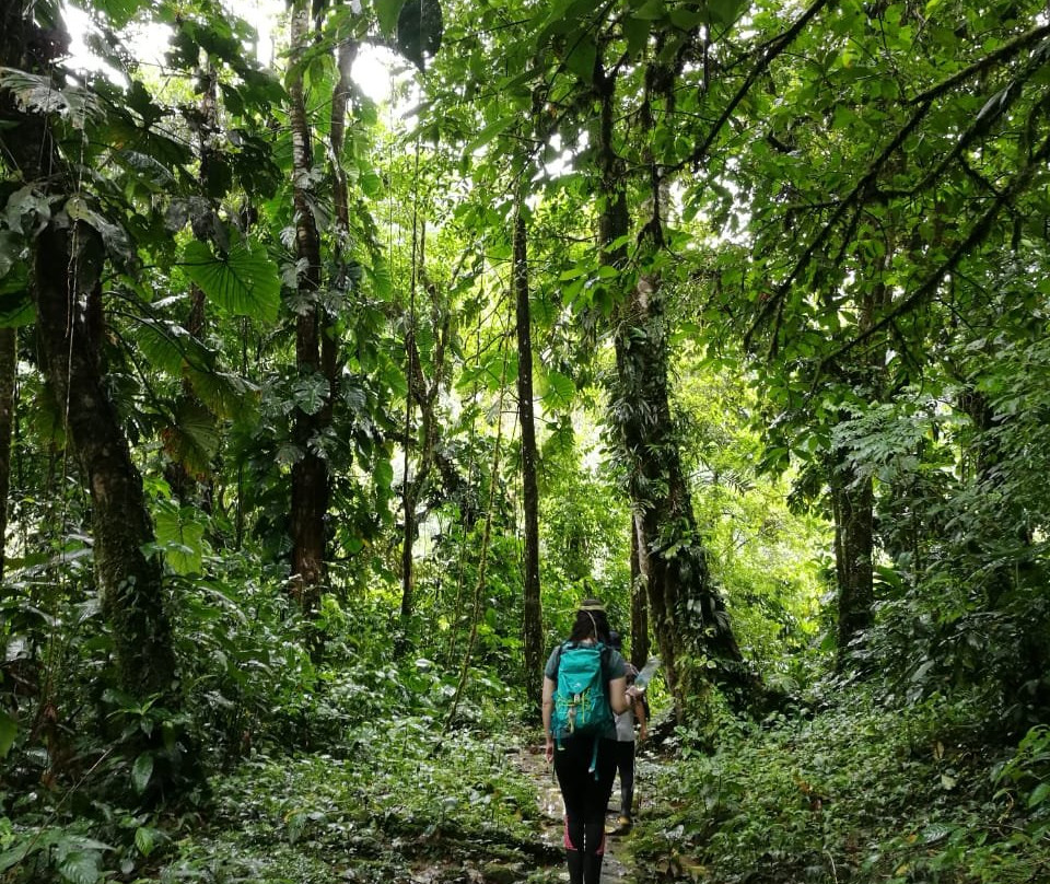 Playa Selva Lodge主图