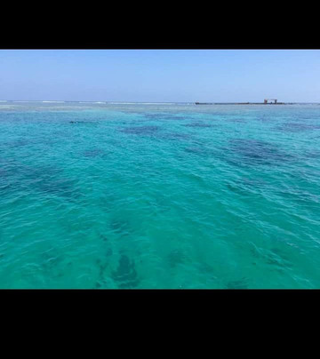 Mundo Submarino-韦拉克鲁斯必去景点