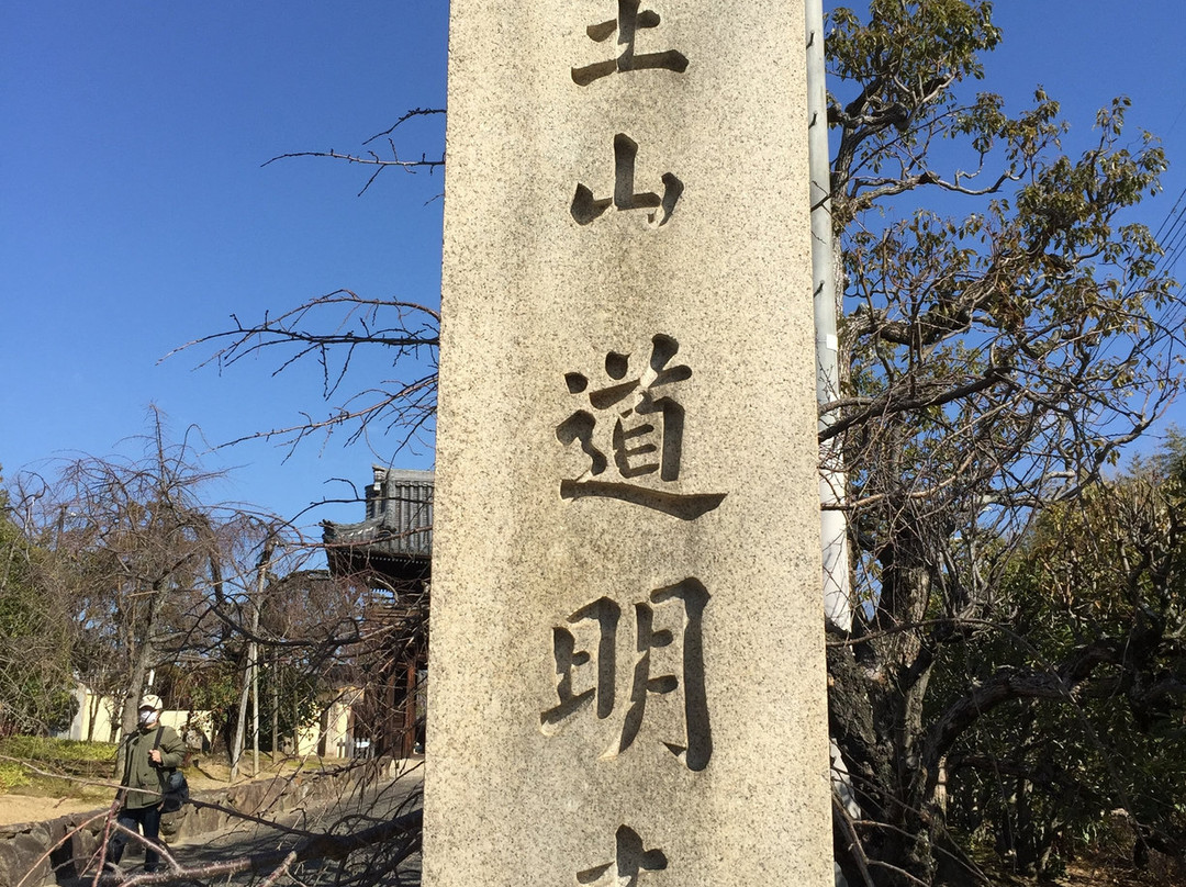 Domyoji Temple-藤井寺市必去景点