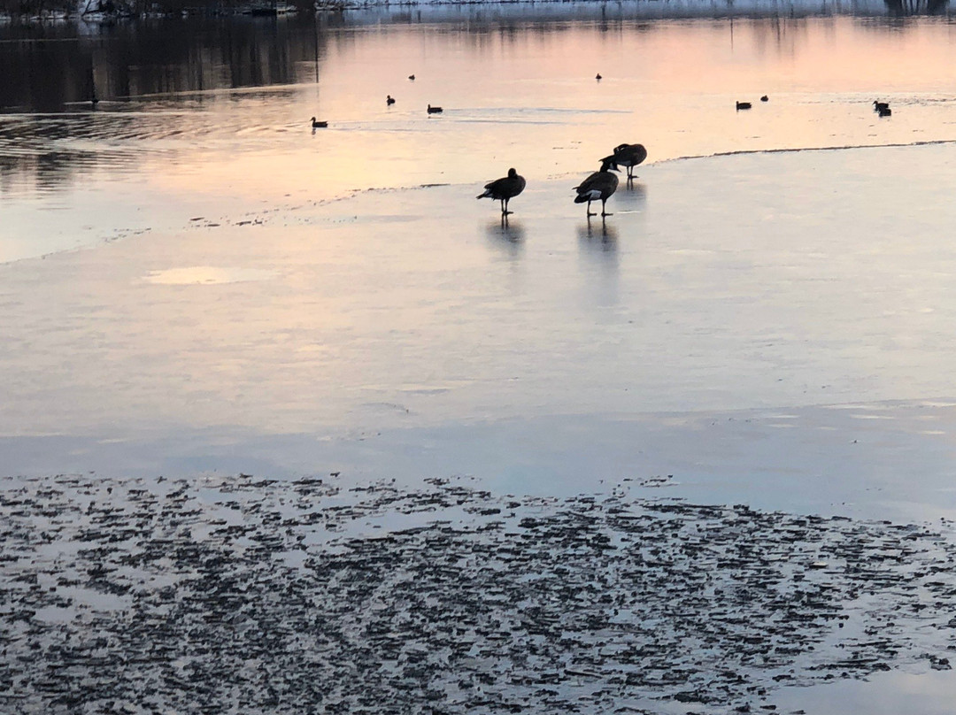 Lake Remembrance景点图片