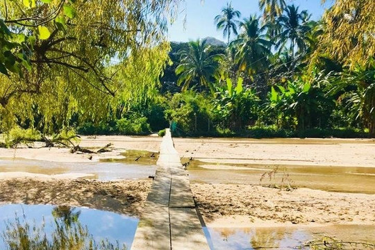 Pata Salada Tours-瓦拉塔港必去景点