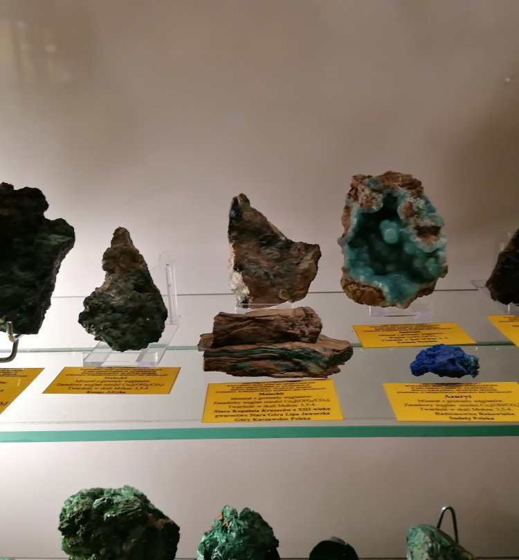 Mineralogical Museum景点图片