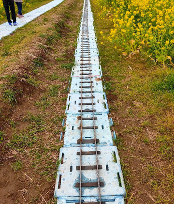 Nanabatake Road-鸭川市必去景点