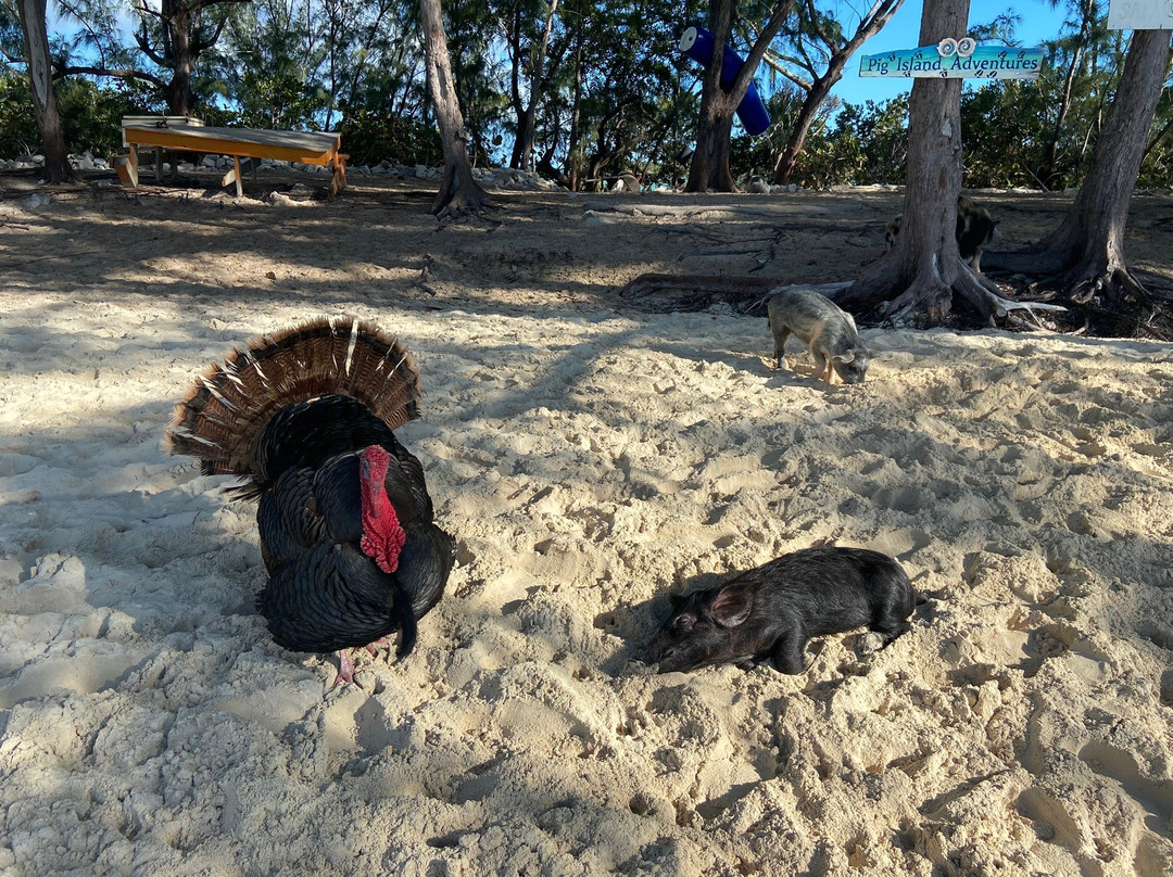 Aqua Bliss Charters-Spanish Wells必去景点