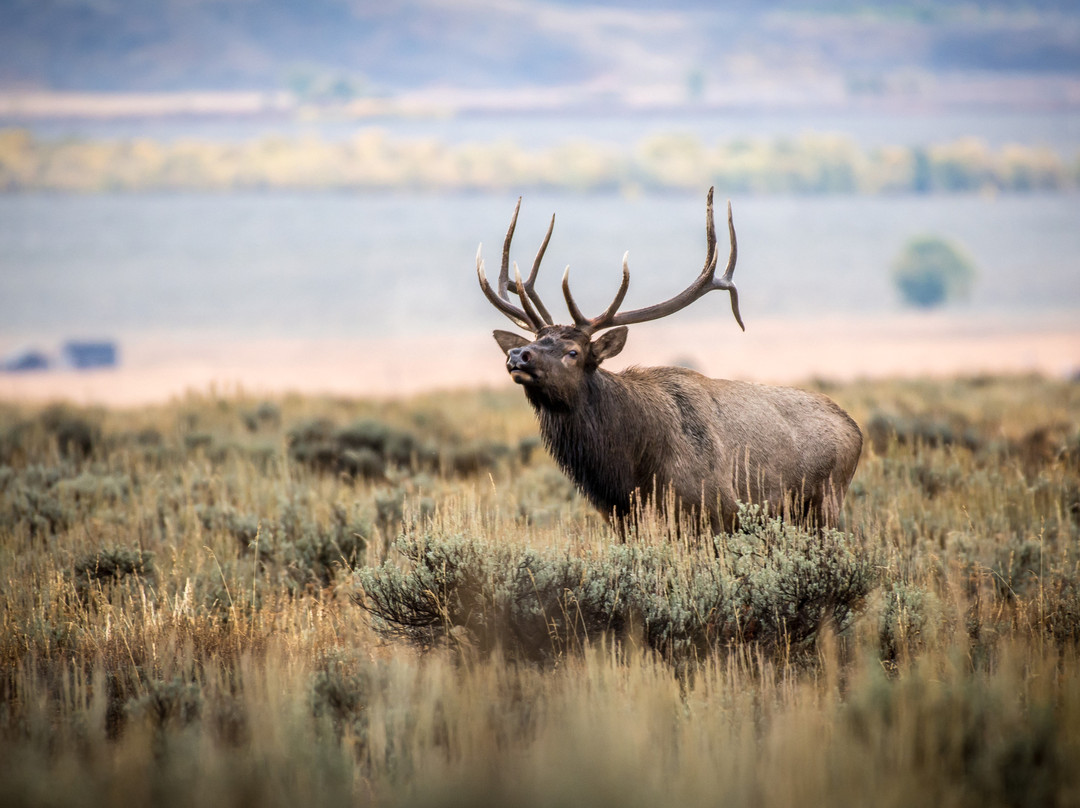 Swan Valley Tours-天鹅谷必去景点