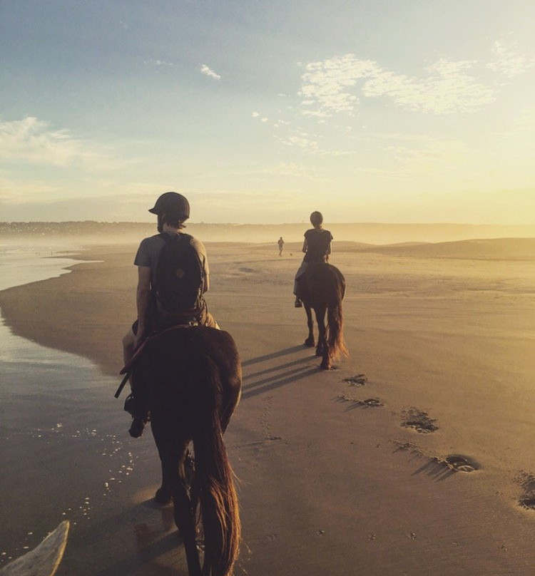 Featherfoot Beach Horse Trails & Riding School-杰佛瑞湾必去景点