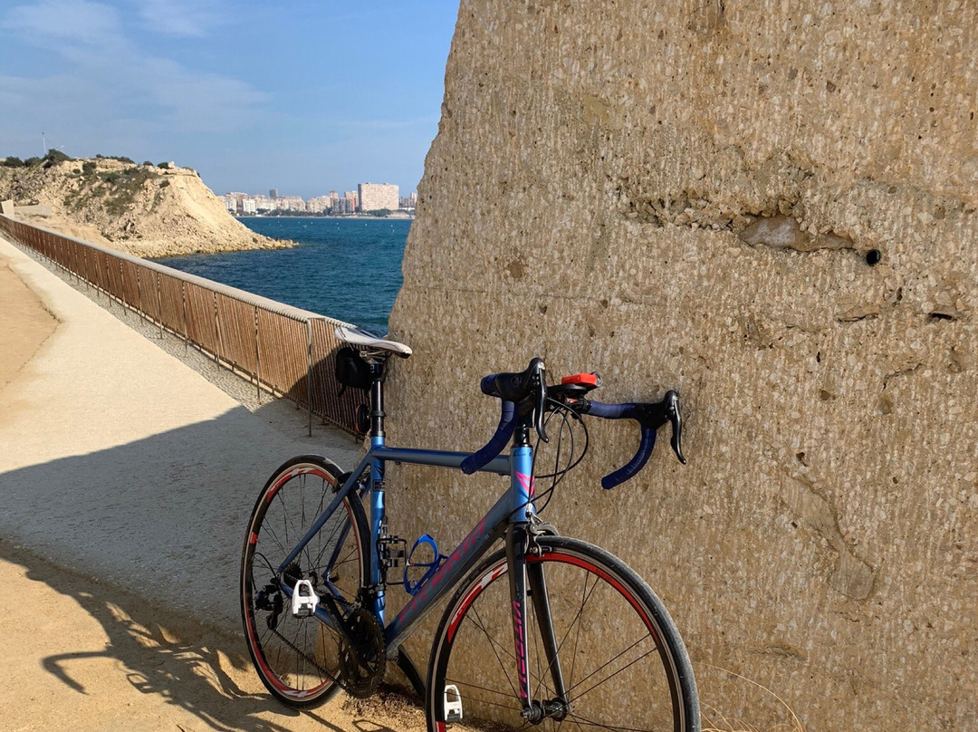 Bikes&City景点图片