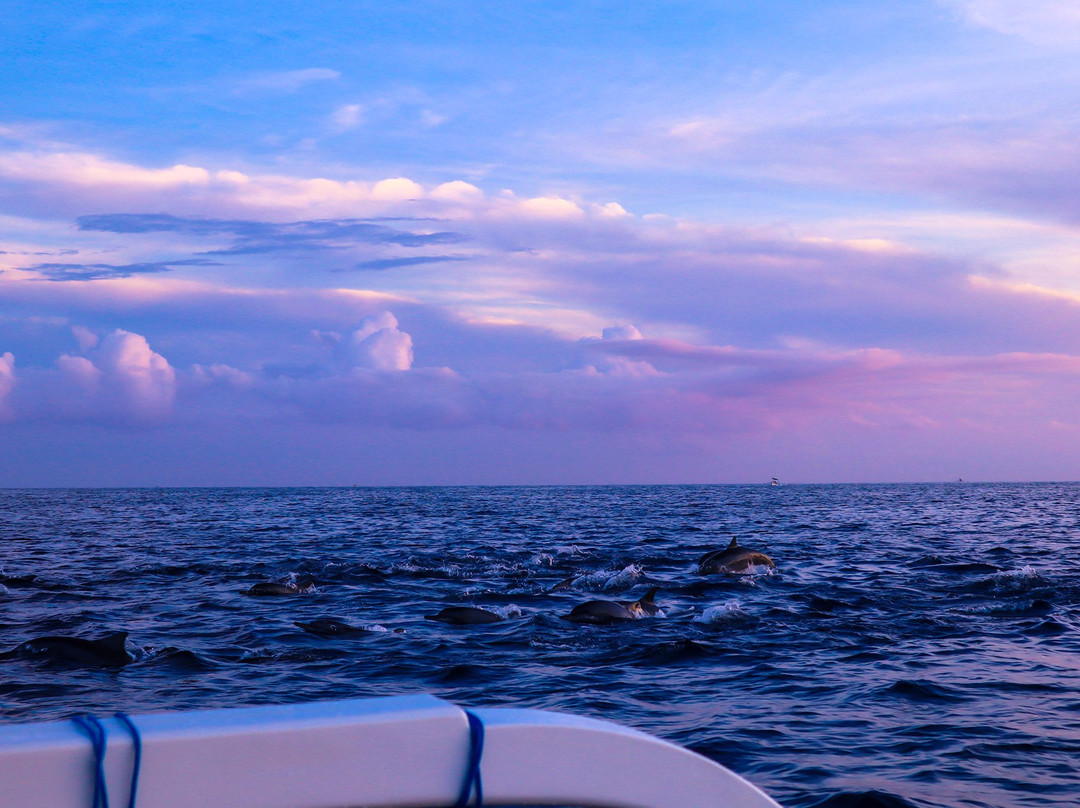 普瑞阳光大酒店主图
