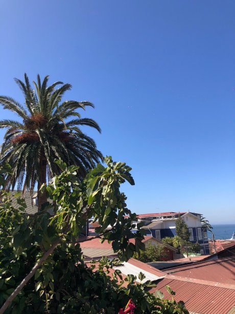 新佛加宾馆-官方