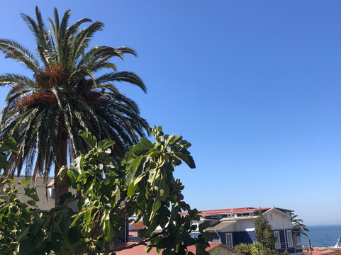 新佛加宾馆主图