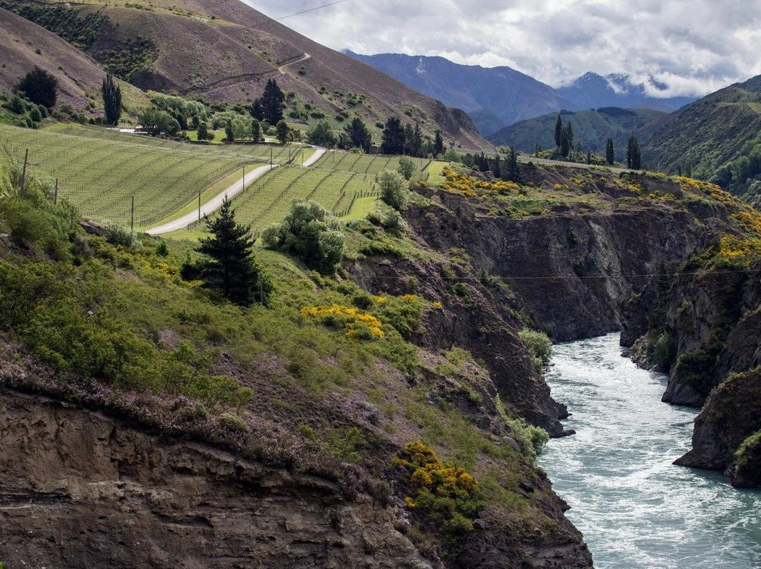Wine Tour Marlborough-布伦海姆必去景点