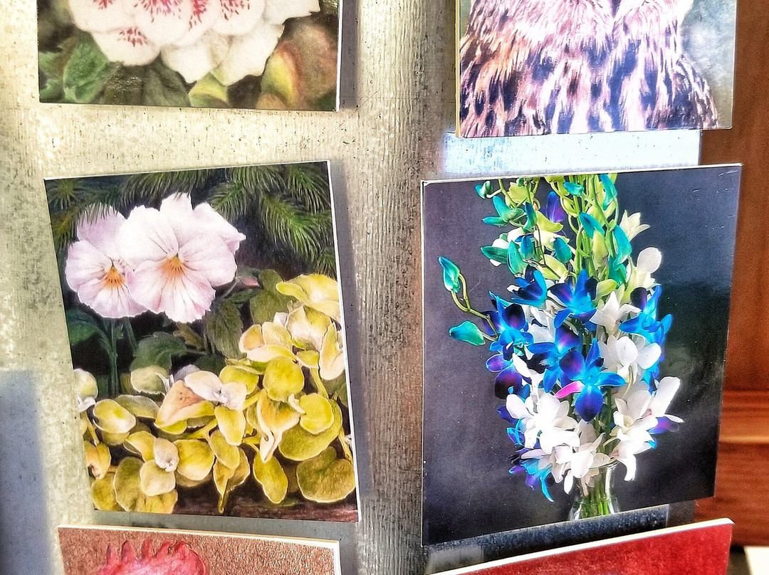 Hull Artists - Gallery Nantasket景点图片