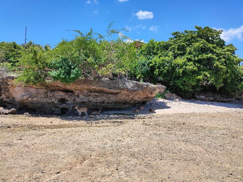 曼杰甘度假村主图