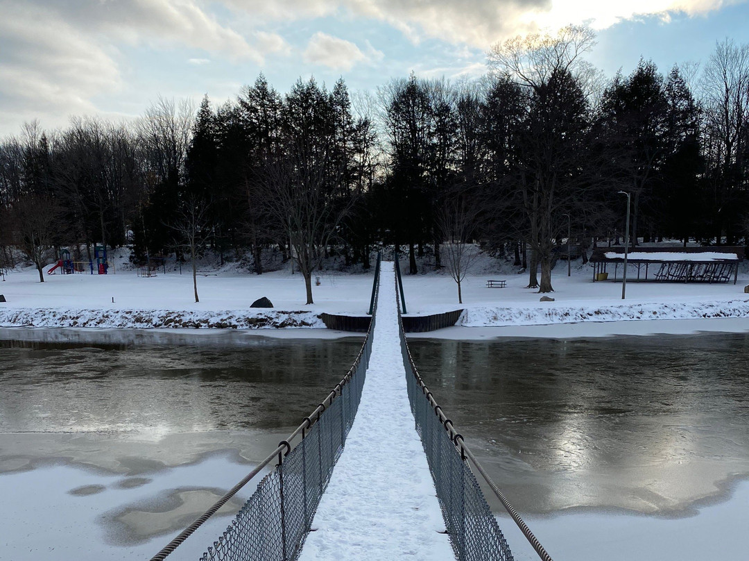 Croswell Swinging Bridge-Croswell必去景点