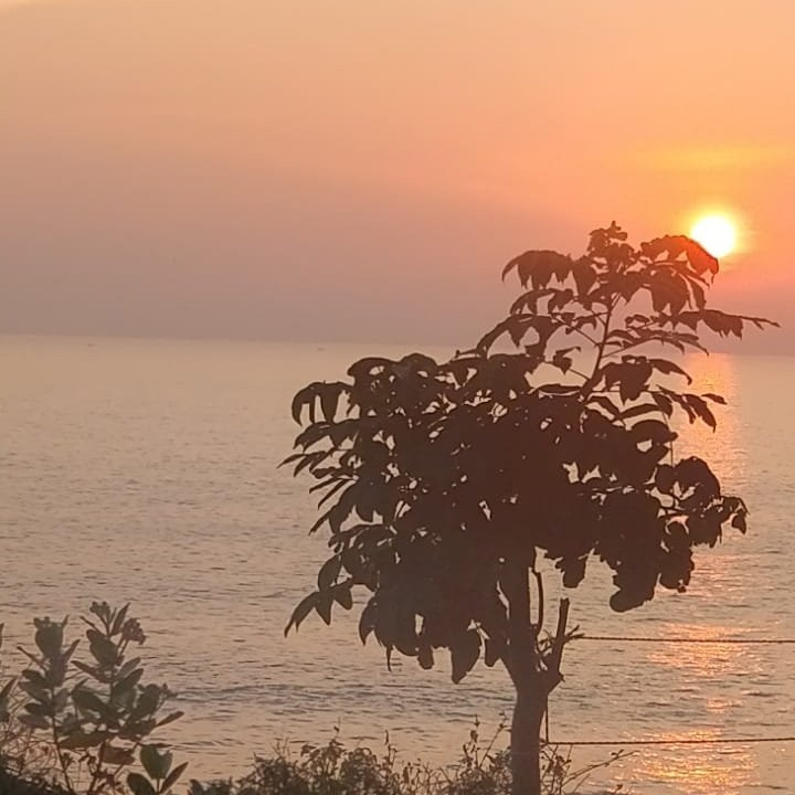 Varkala Cliff景点图片