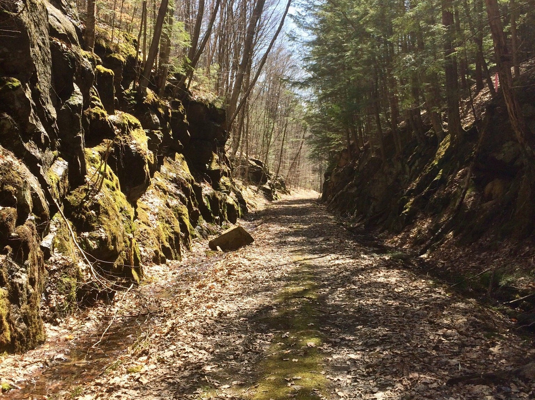 Cheshire Recreational Rail Trail景点图片