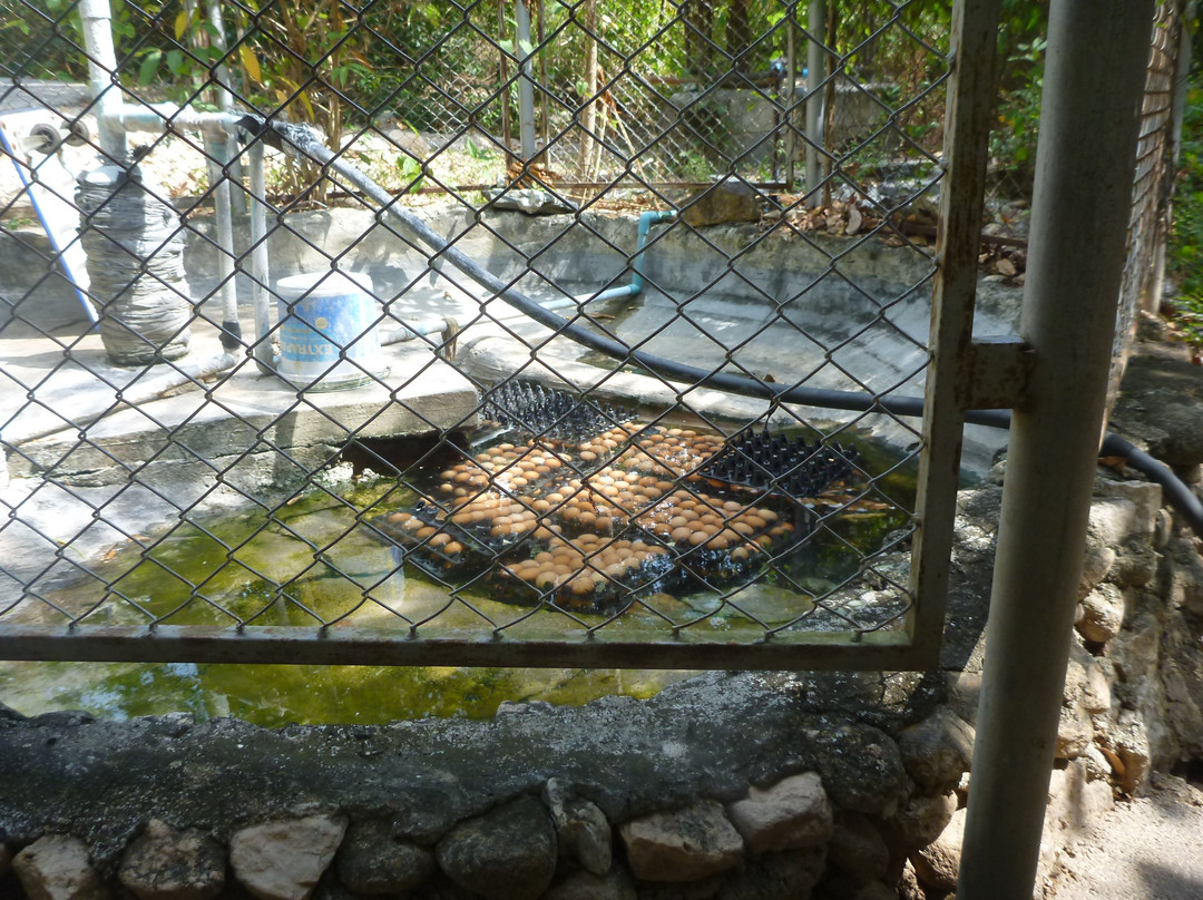 Porn Rang Hot Springs-拉廊必去景点