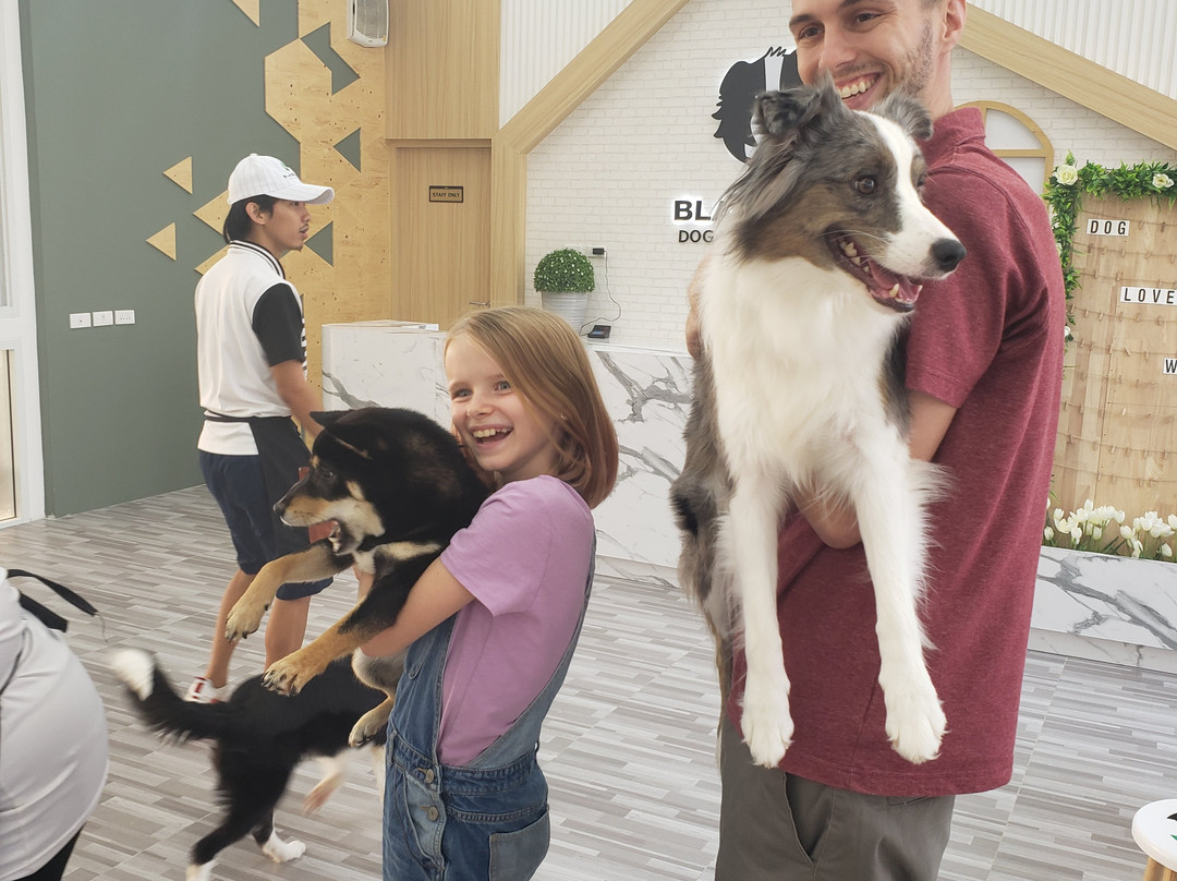 BlaBlaBoo - Premium Dog Cafe-挽巴茵必去景点