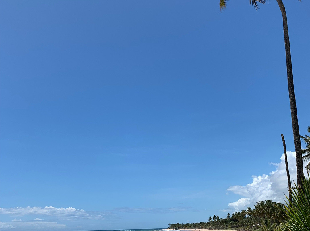 Cassange Beach-Barra Grande必去景点