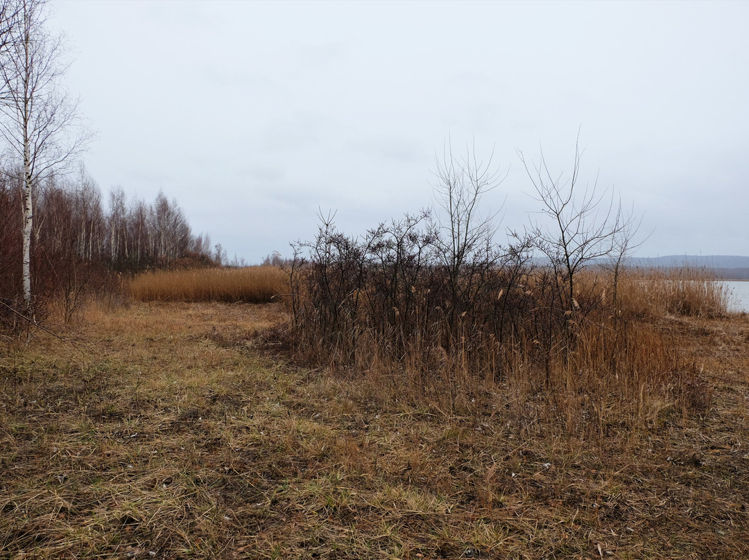 Europäisches Vogelreservat Heerter See-萨尔茨基特必去景点