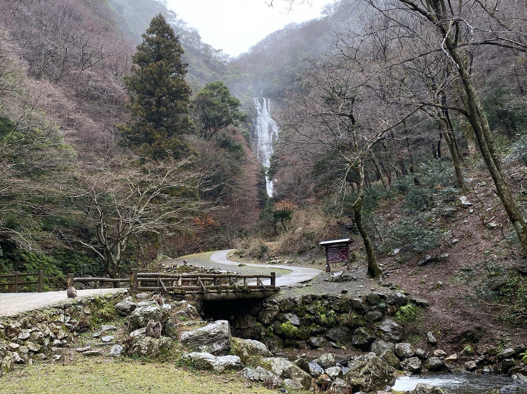 Kamba Falls景点图片
