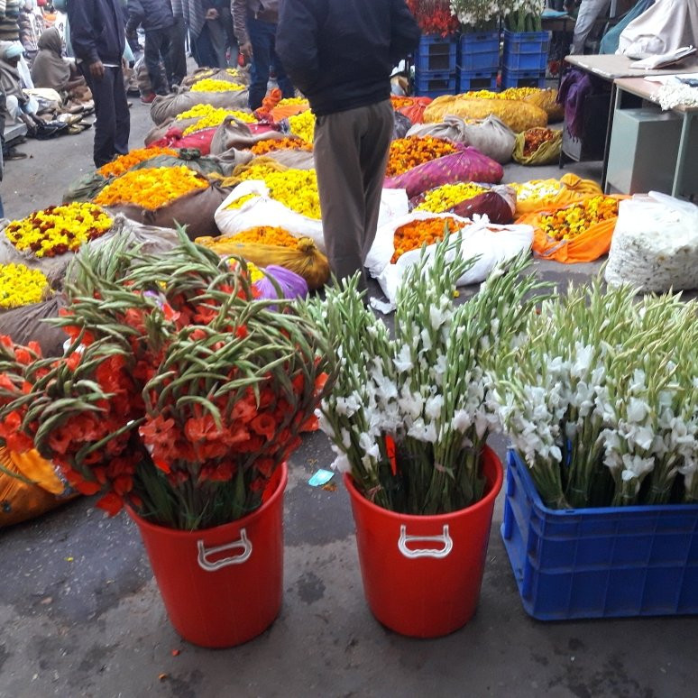 Diwan-e-Khas Hall of Private Audience-斋蒲尔必去景点