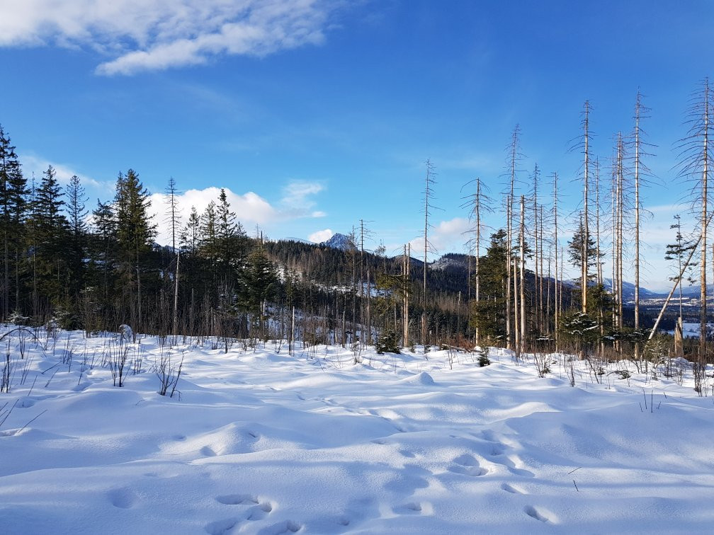 Wielki Kopieniec-扎科帕内必去景点