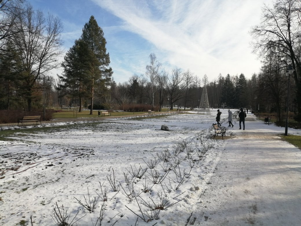 Park Zdrojowy景点图片